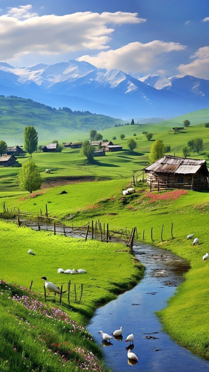 Suisse